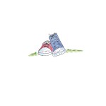 KEDS