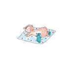 NAP